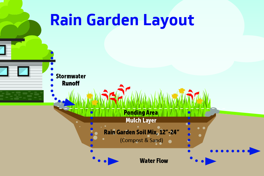 How to Create a Rain Garden